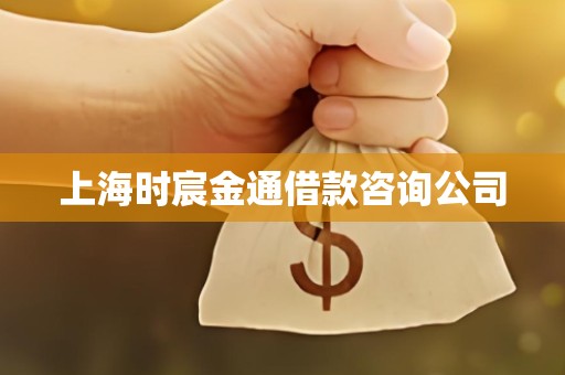 上海时宸金通借款咨询公司