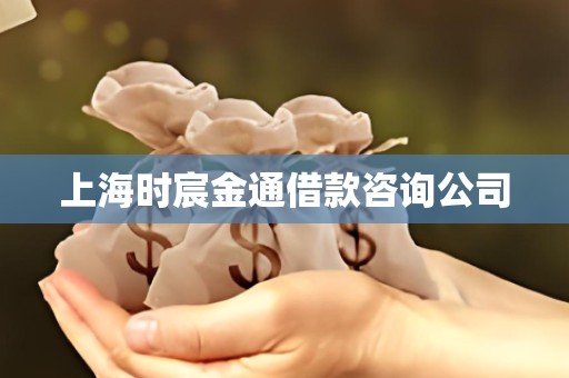 上海时宸金通借款咨询公司