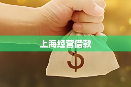 上海经营借款