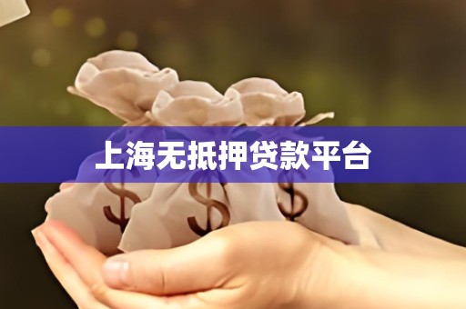 上海无抵押贷款平台