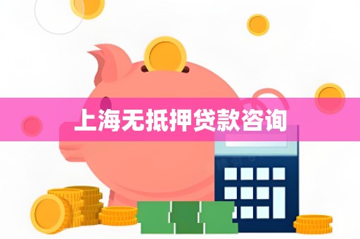 上海无抵押贷款咨询