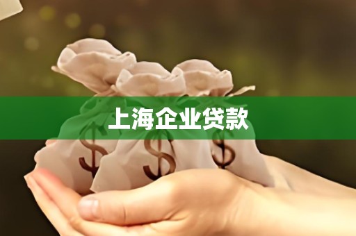 上海企业贷款