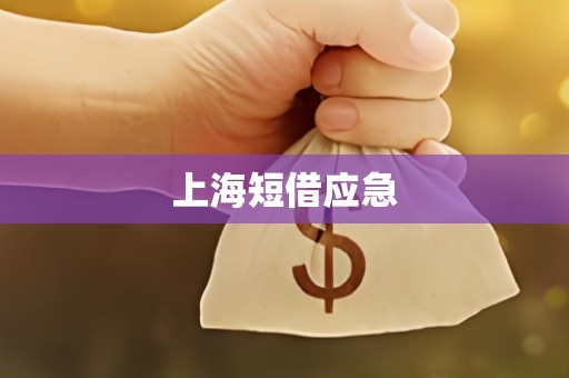 上海短借应急