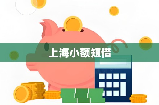 上海小额短借